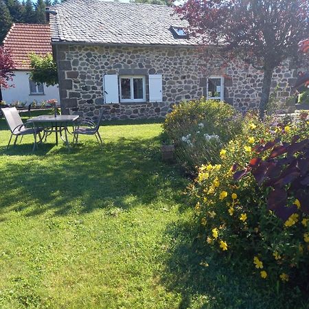 Ferme De Lamourio Saint-Cernin  외부 사진